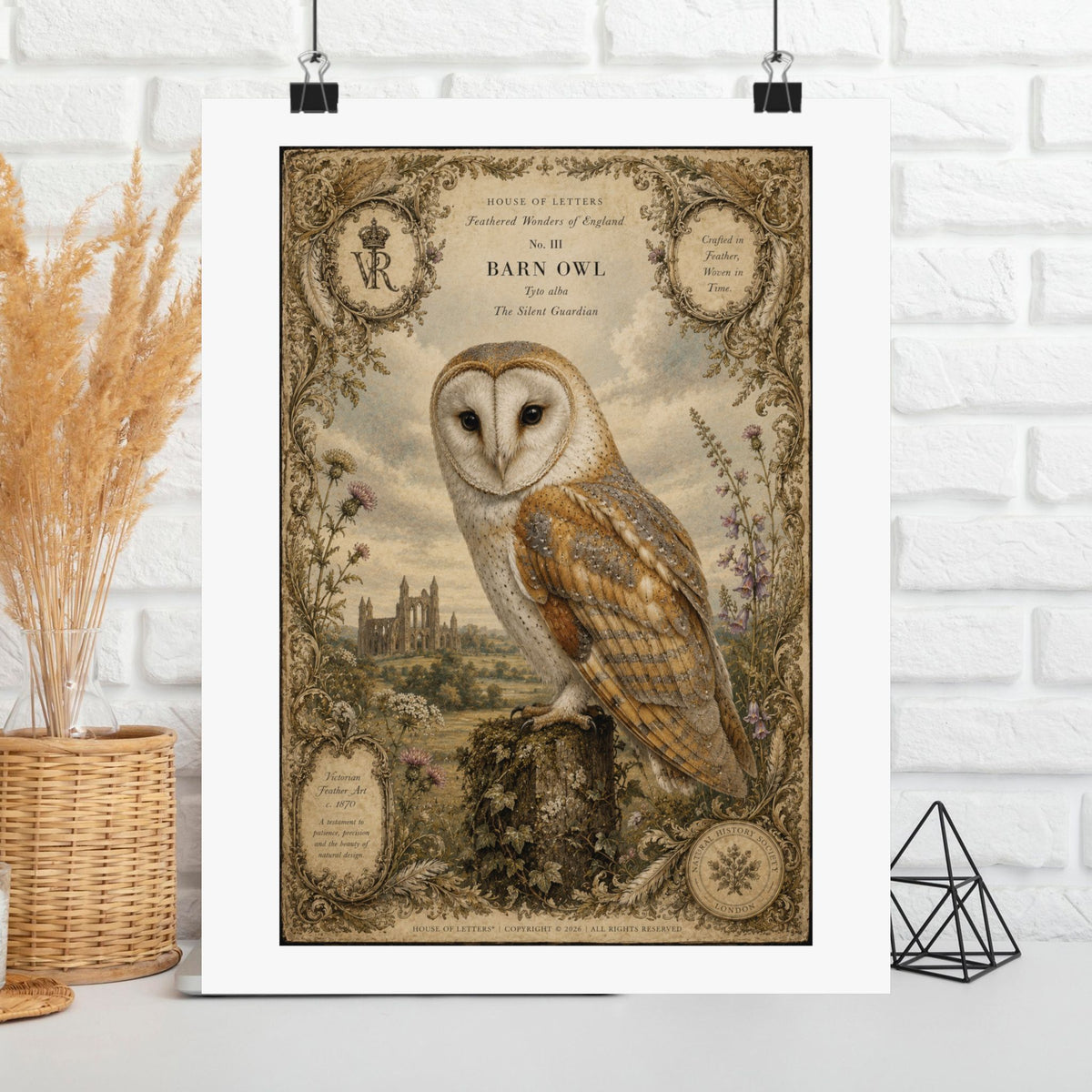 Barn Owl Vintage Print Poster — Matte Vertical Wall Art