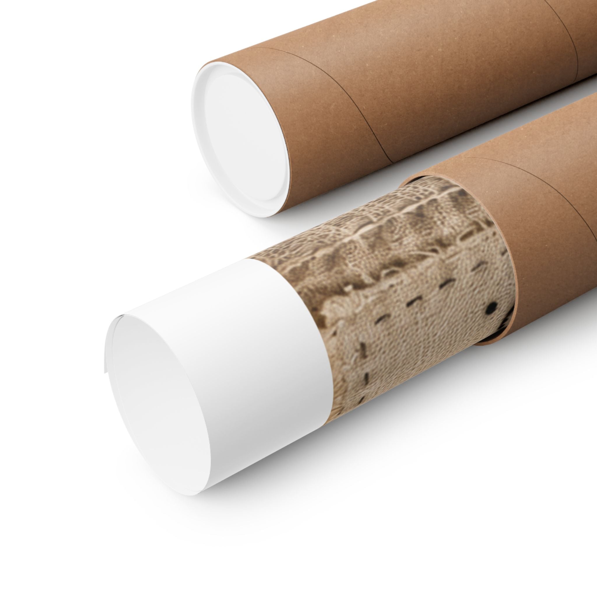 Lost Art. Reimagined. (The Quilting Bee Edition)