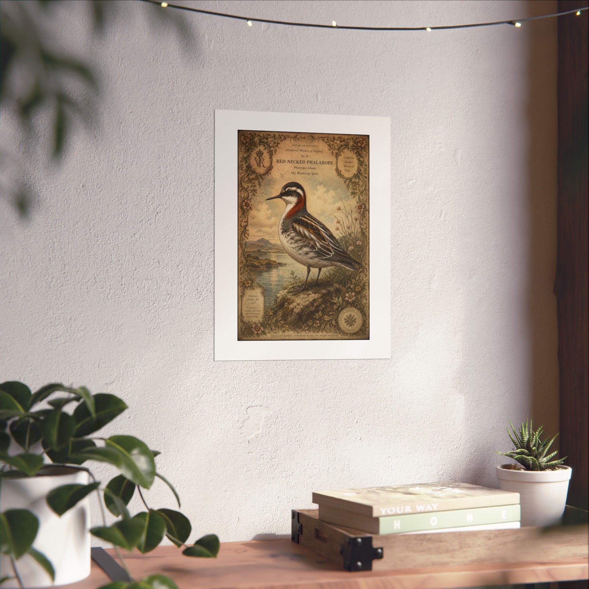 Vintage Shorebird Poster — Red-necked Phalarope Matte Print