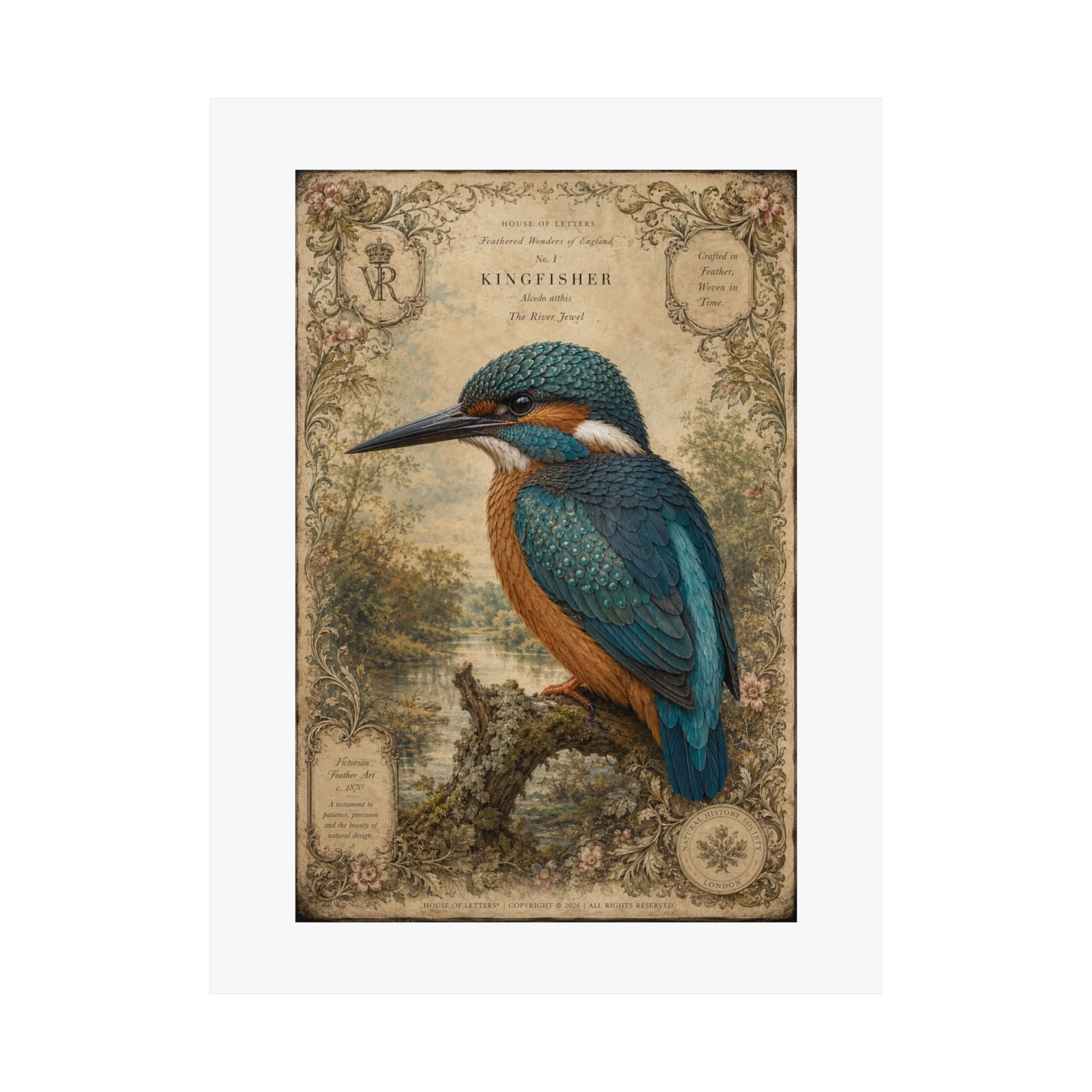 Kingfisher Vintage Illustration Matte Poster — Antique Bird Wall Art
