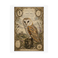 Barn Owl Vintage Print Poster — Matte Vertical Wall Art