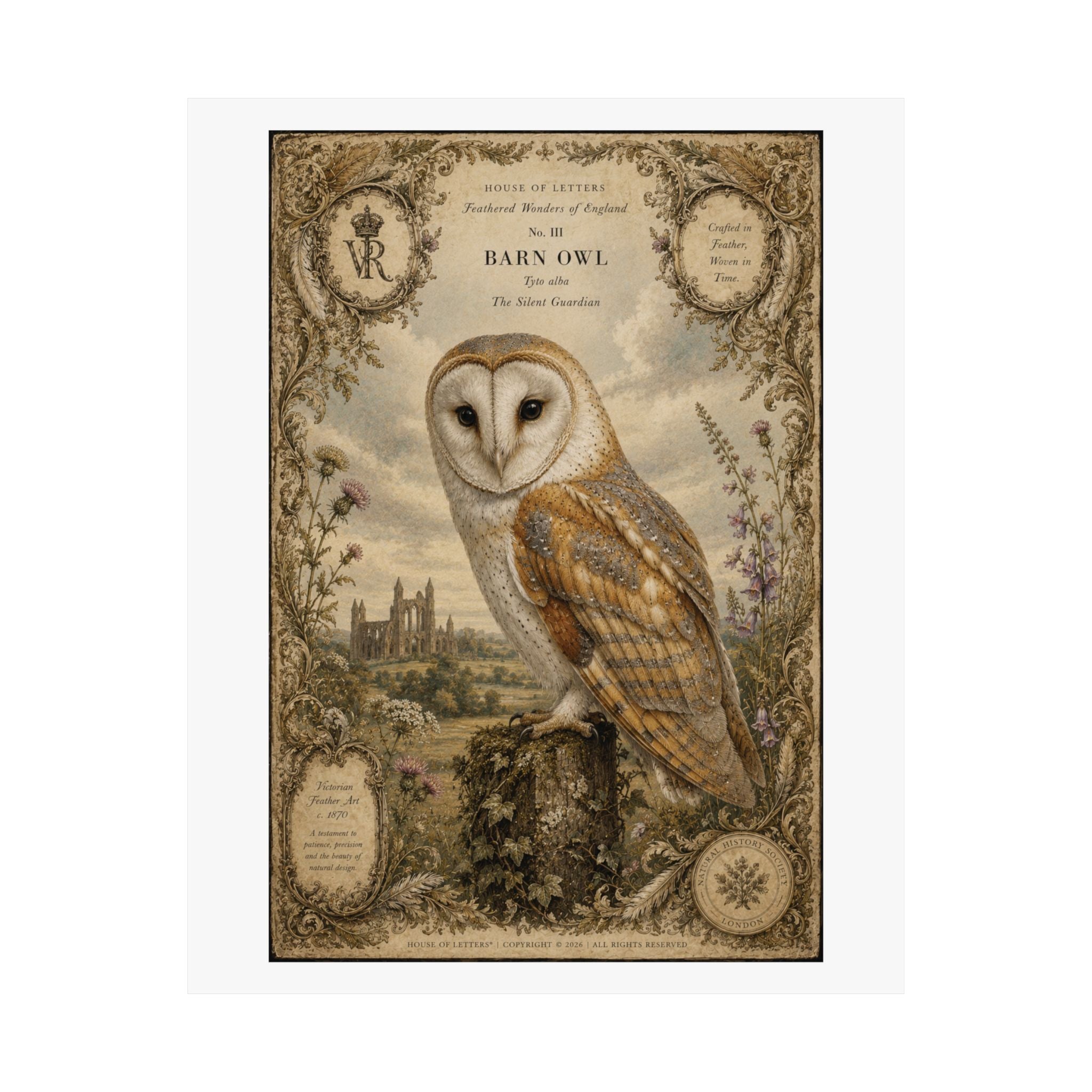 Barn Owl Vintage Print Poster — Matte Vertical Wall Art
