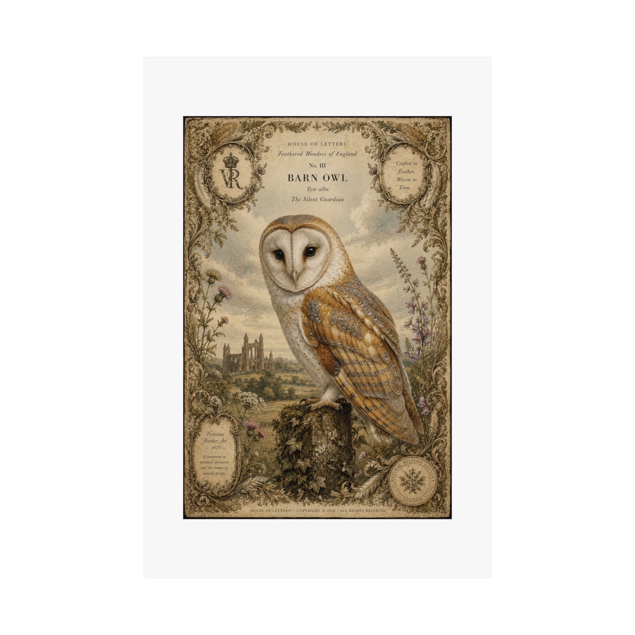Barn Owl Vintage Print Poster — Matte Vertical Wall Art