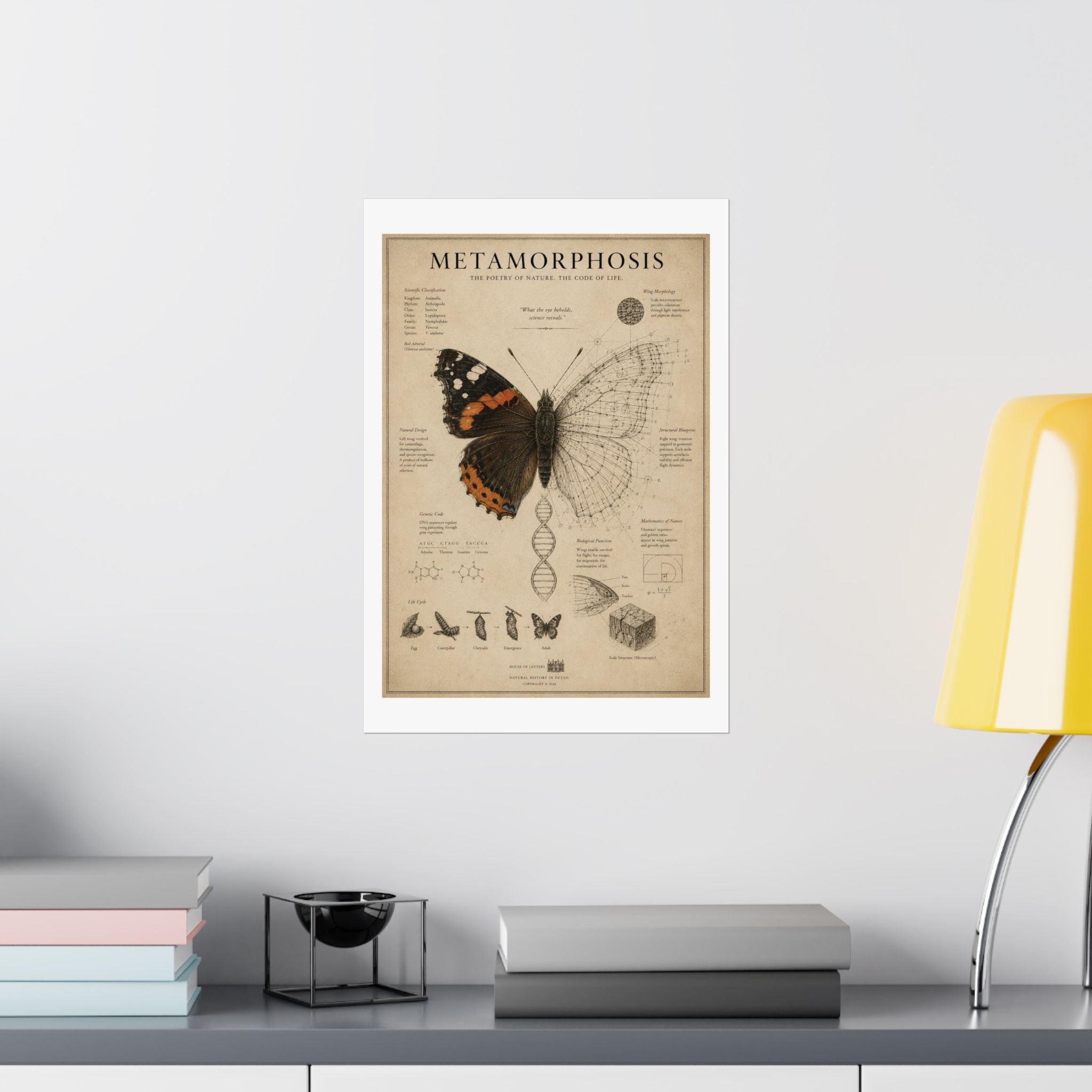 The Anatomy of Metamorphosis" Premium Art Print - The Poetry of Nature Meets the Code of Life