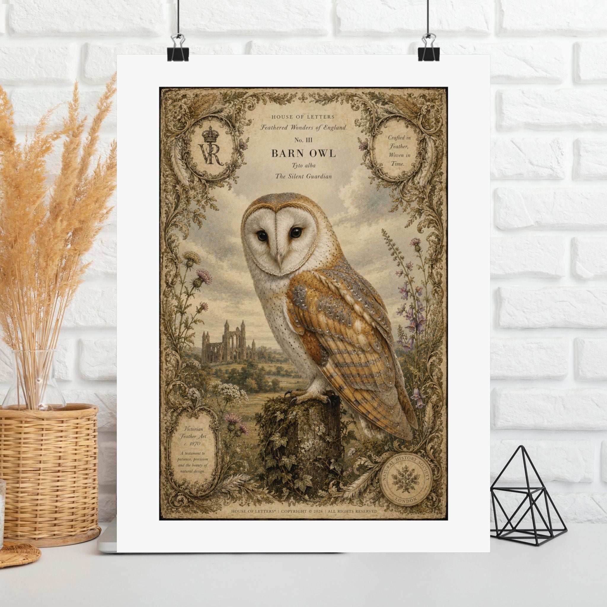 Barn Owl Vintage Print Poster — Matte Vertical Wall Art