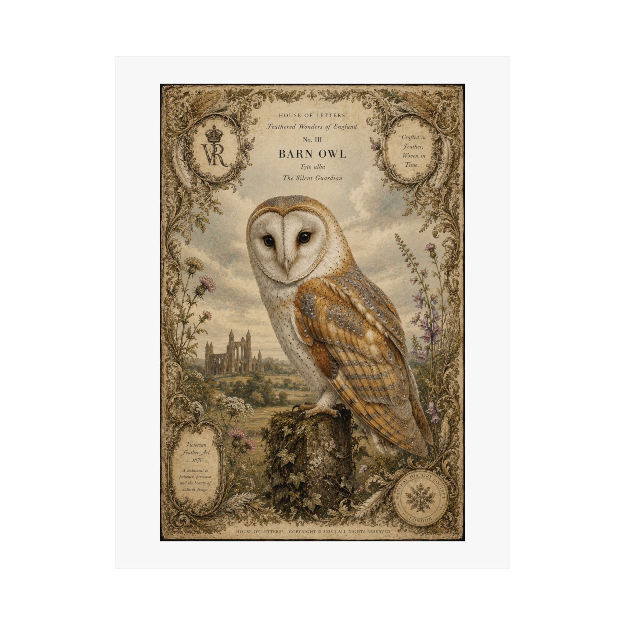 Barn Owl Vintage Print Poster — Matte Vertical Wall Art