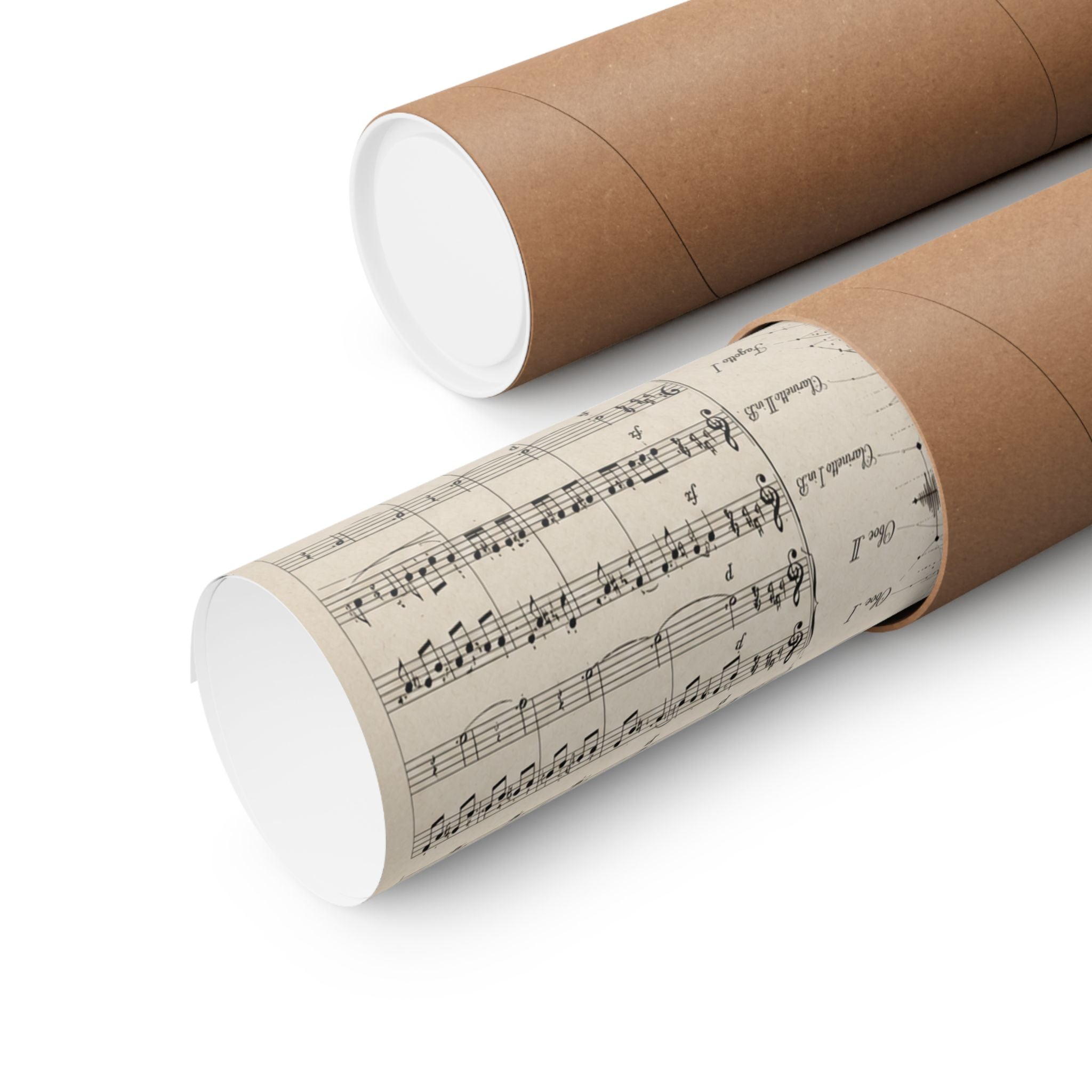 The Architecture of a Symphony. (The Classical Edition)