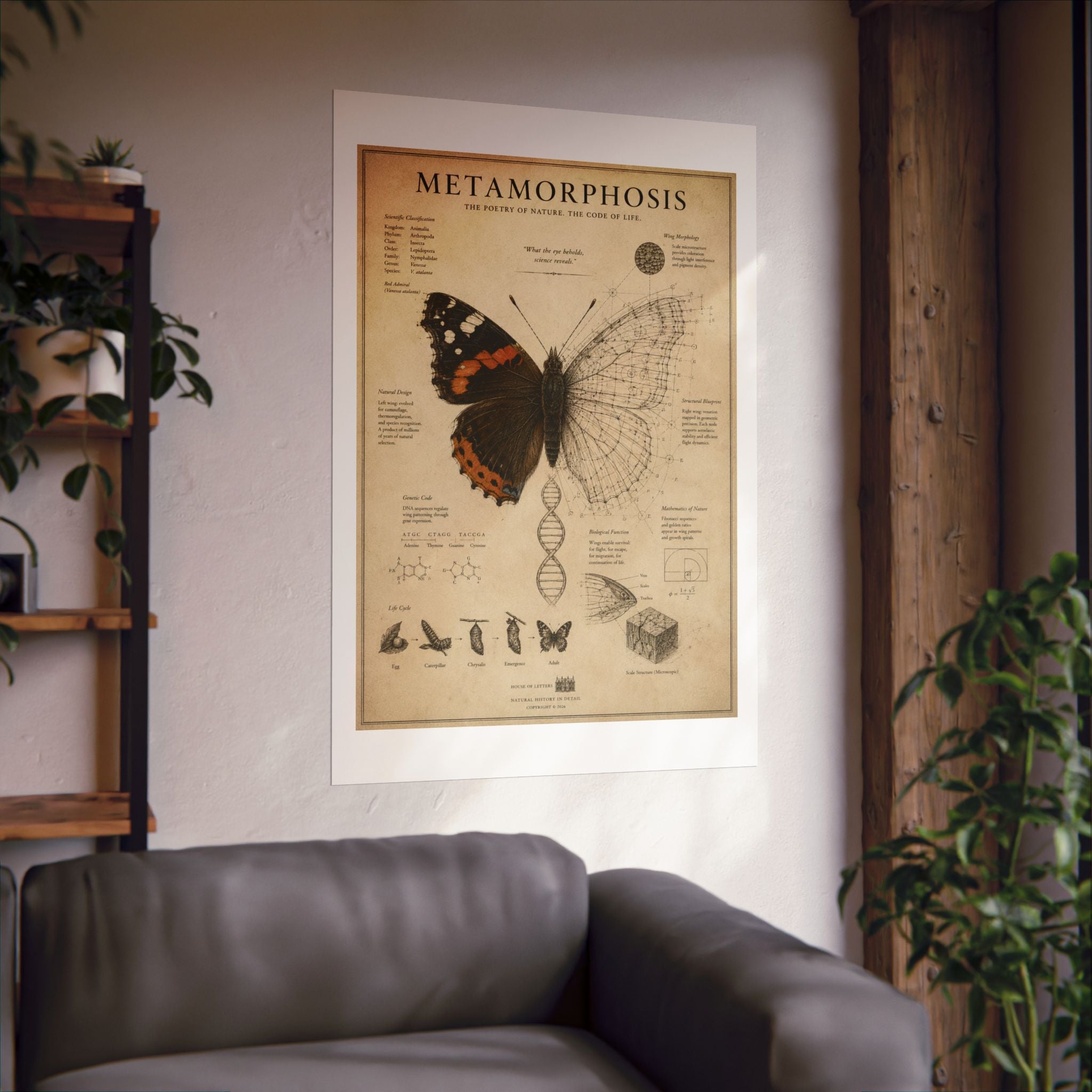 The Anatomy of Metamorphosis" Premium Art Print - The Poetry of Nature Meets the Code of Life