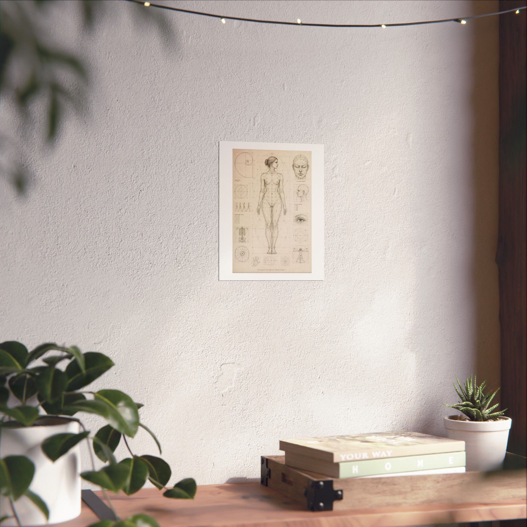 Anatomical Study Matte Poster — Vintage Human Proportions Print