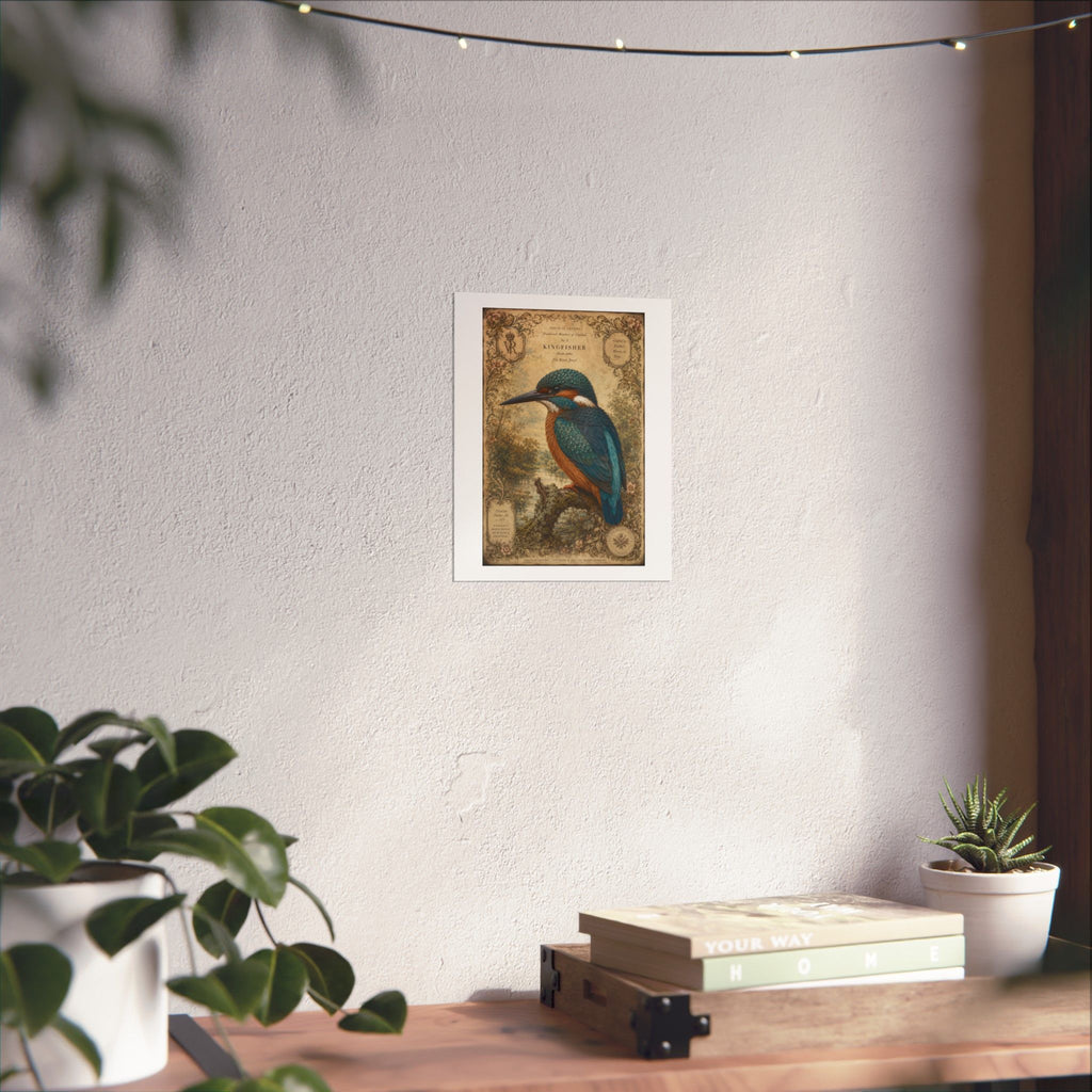 Kingfisher Vintage Illustration Matte Poster — Antique Bird Wall Art